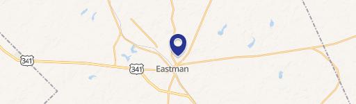 Eastman, GA 31023