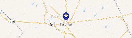 Eastman, GA 31023