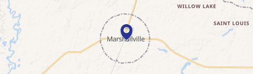 Marshallville, GA 31057