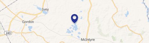 Mc Intyre, GA 31054