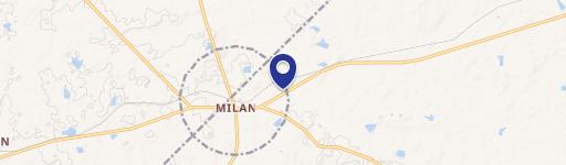 Milan, GA 31060