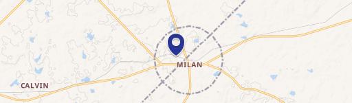 Milan, GA 31060