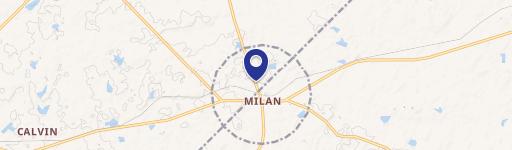 Milan, GA 31060