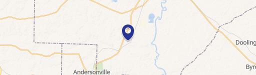 Oglethorpe, GA 31068