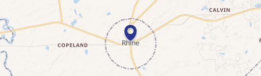 Rhine, GA 31077