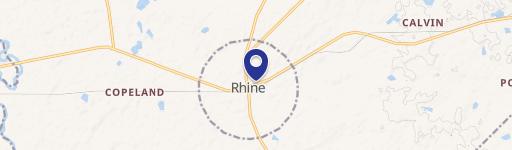 Rhine, GA 31077