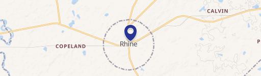Rhine, GA 31077