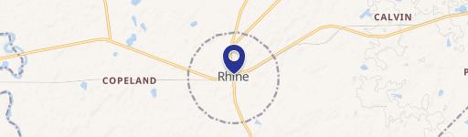Rhine, GA 31077