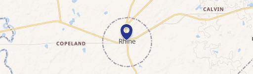 Rhine, GA 31077