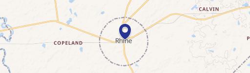 Rhine, GA 31077