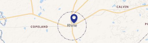 Rhine, GA 31077
