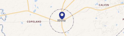 Rhine, GA 31077