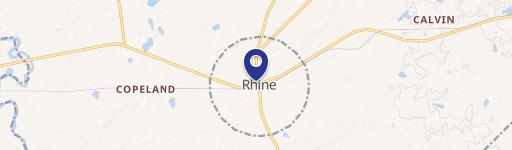 Rhine, GA 31077