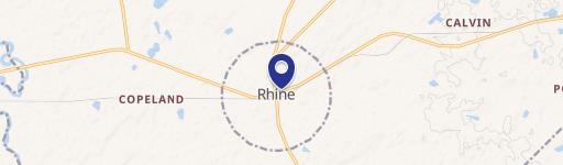 Rhine, GA 31077