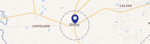 Rhine, GA 31077