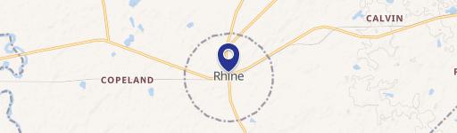 Rhine, GA 31077