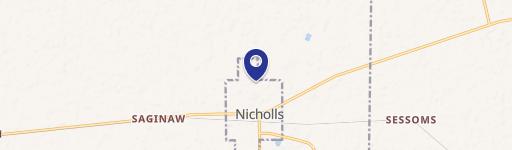 Nicholls, GA 31554