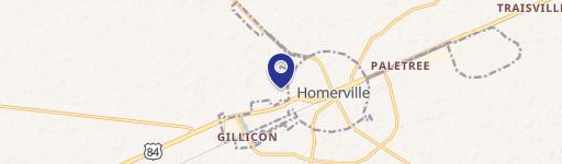 Homerville, GA 31634
