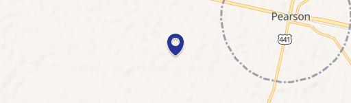 Pearson, GA 31642
