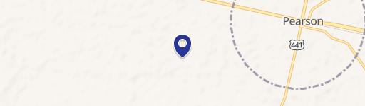 Pearson, GA 31642