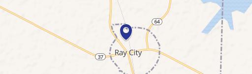 Ray City, GA 31645