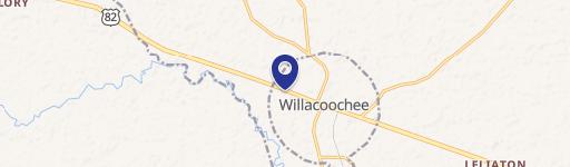 Willacoochee, GA 31650