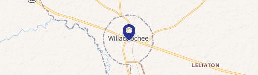 Willacoochee, GA 31650
