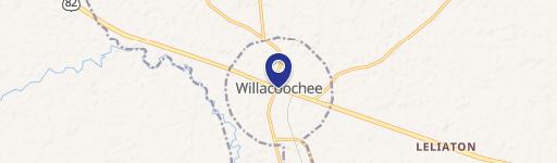 Willacoochee, GA 31650