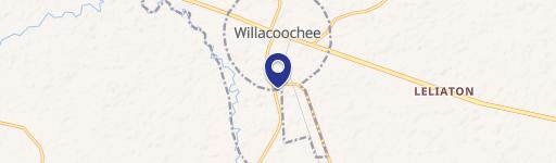 Willacoochee, GA 31650