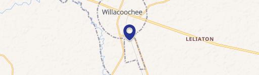 Willacoochee, GA 31650