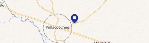 Willacoochee, GA 31650