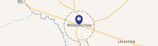 Willacoochee, GA 31650