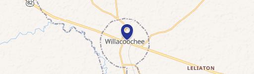 Willacoochee, GA 31650