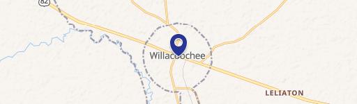 Willacoochee, GA 31650