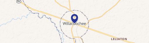 Willacoochee, GA 31650
