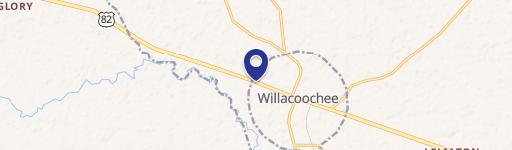 Willacoochee, GA 31650