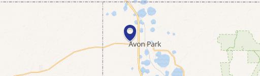 Residential Land in Avon Park