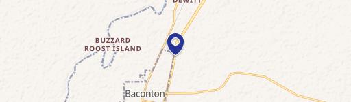 Baconton, GA 31716