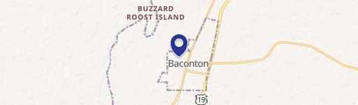 Baconton, GA 31716