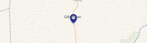 Gilbertown, AL 36908