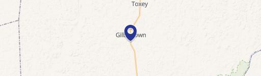 Gilbertown, AL 36908