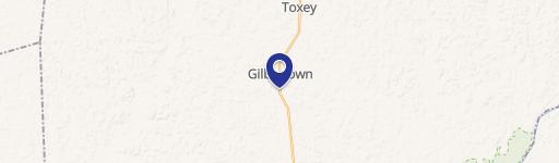 Gilbertown, AL 36908