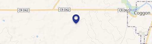 Land with White Pine Trees