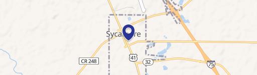 Sycamore, GA 31790