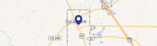 Sycamore, GA 31790