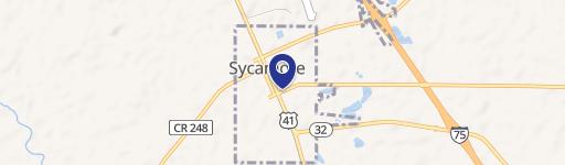 Sycamore, GA 31790