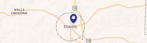Ellaville, GA 31806