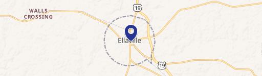 Ellaville, GA 31806