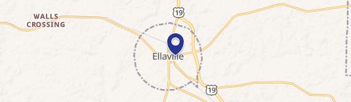 Ellaville, GA 31806