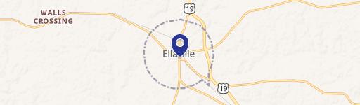 Ellaville, GA 31806